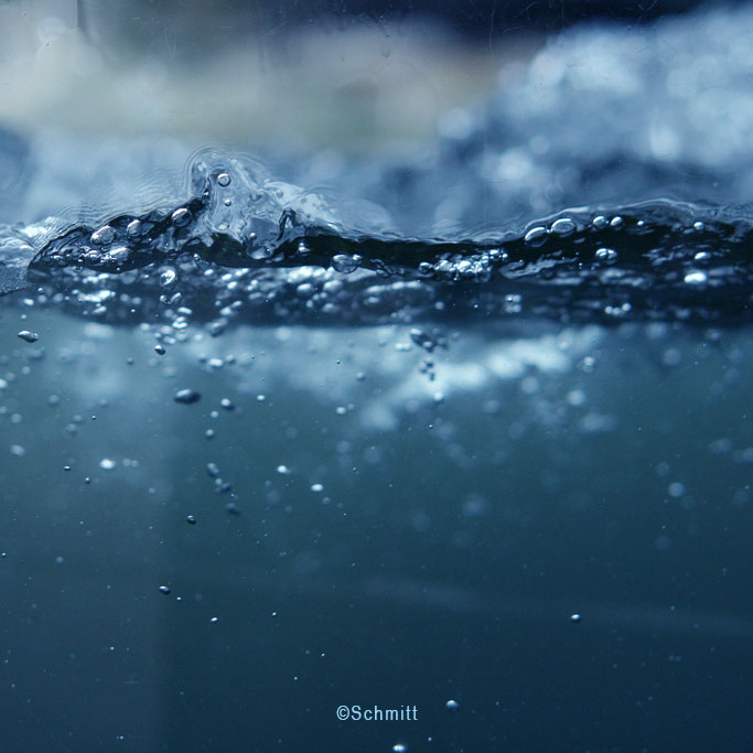 water is life